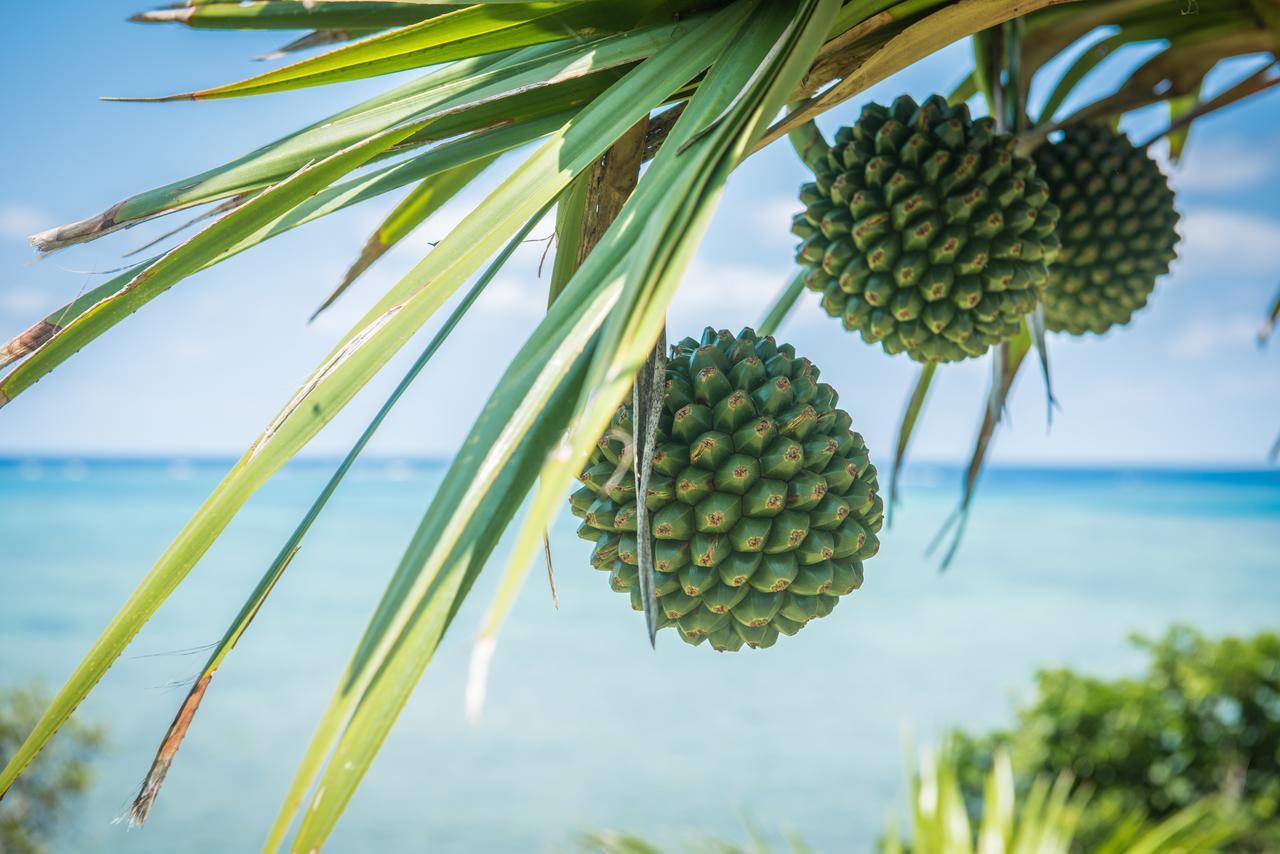 Hotel Ishigaki Sunset Cove Exterior foto